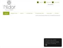 Tablet Screenshot of nildor.com